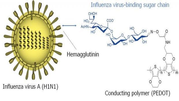Researchers Develop a Lightning-Fast Flu Virus Detector
