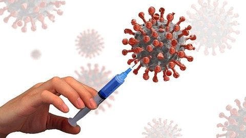 Infection Preventionists Play Crucial Role in Vaccine Efforts