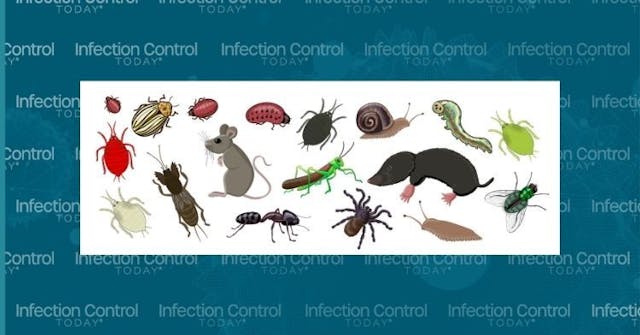 A set of animal pests of fields and gardens - mole, mouse, locust, fly, mole cricket, slug, Colorado potato beetle, aphid, ant. Drawing isolated on a white background.    (Adobe Stock 369346487 by Ольга Ева)