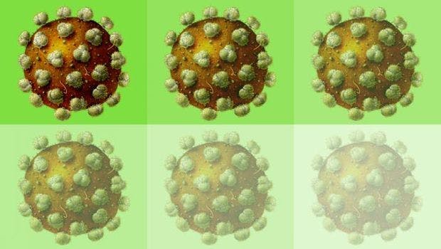 'On/Off Switch' Brings Researchers a Step Closer to Potential HIV Vaccine