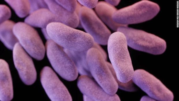 Risk Factors Identified in Patient-to-Patient Transmission of Resistant Bacteria