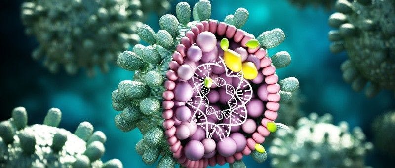 Structural detail of Hepatitis B  (Adobe Stock 239268660 by Destina)