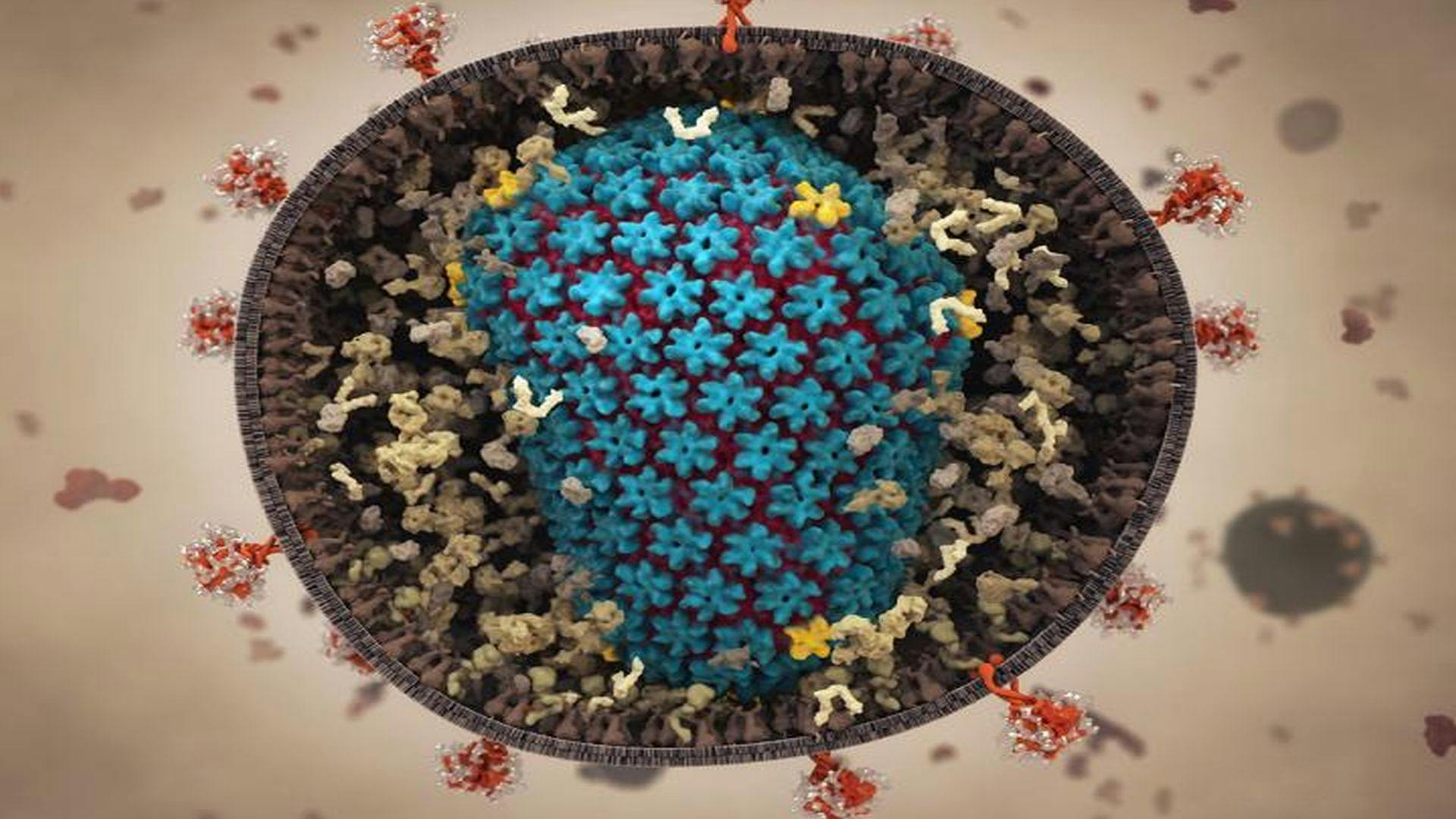 Simulation Shows HIV Capsid Interacting With Its Environment