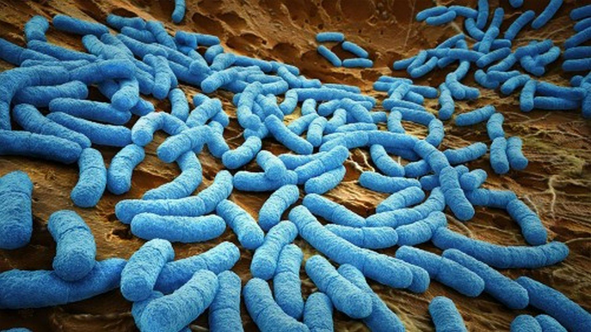 Superbugs Gang Up on Us, Fueled by Antibiotic Use, Nursing Home Study Suggests