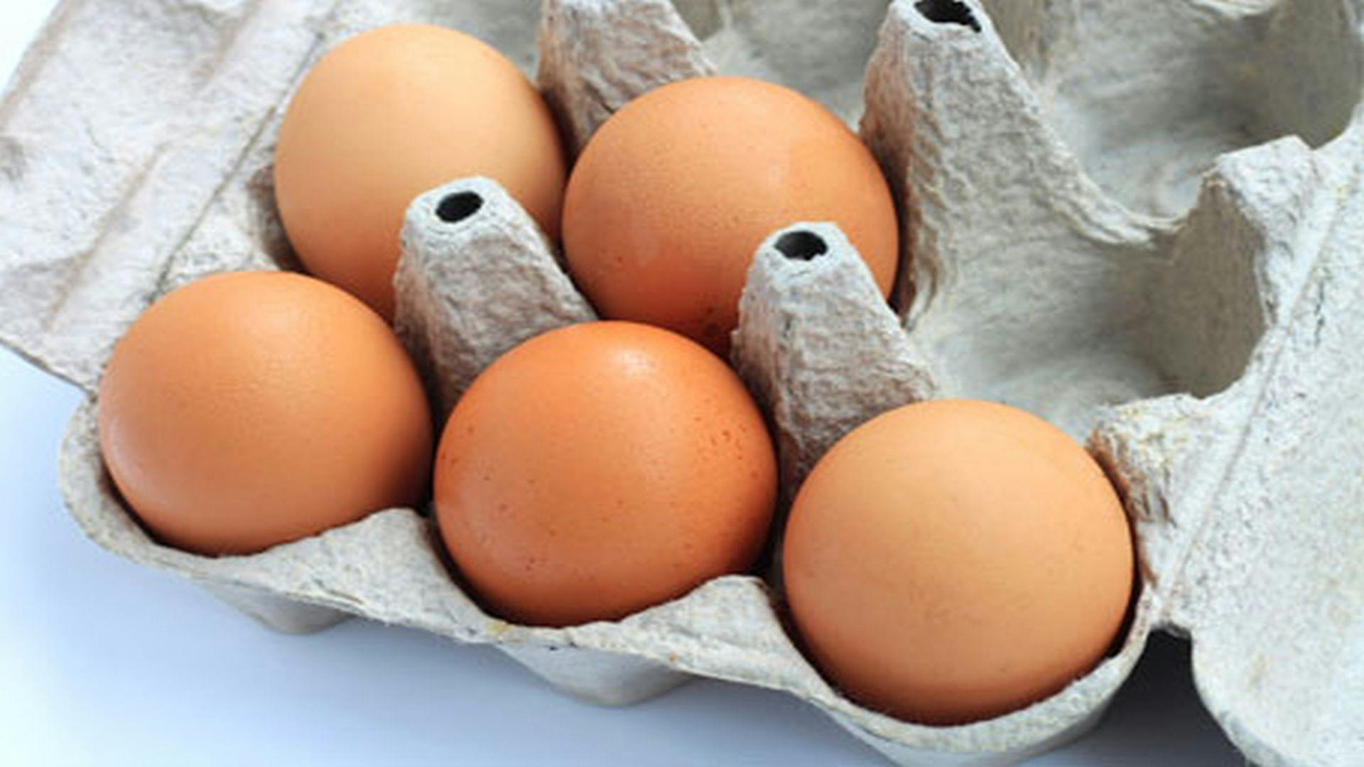 CDC Offers Advice for Avoiding Salmonella Infection From Eggs