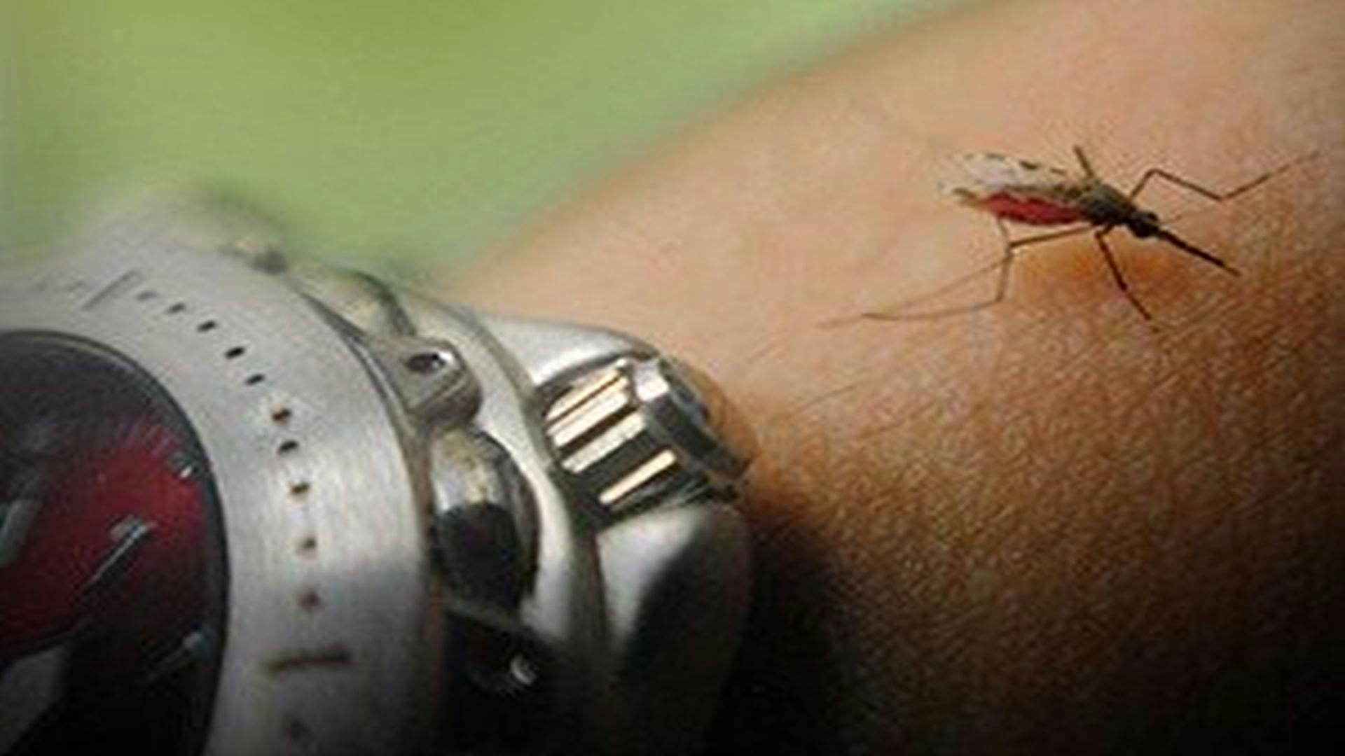 Researchers Use Light to Manipulate Mosquitoes