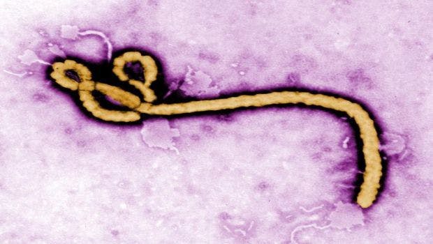 CDC Releases Detailed History of the 2014-2016 Ebola Response