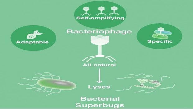 Bacteriophages Act as Natural Drugs to Combat Superbugs