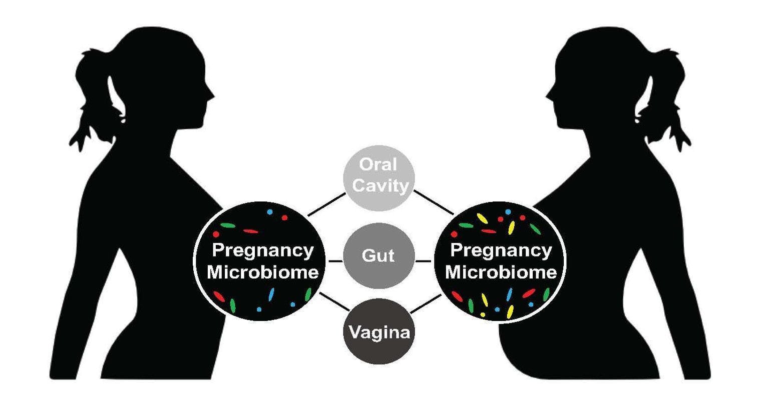 Pregnancy Microbiome Reveals Variations in Bacterial Diversity