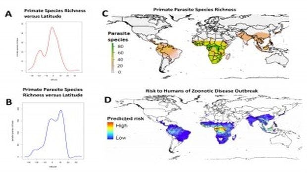 Ecologists Create a Framework for Predicting New Infectious Diseases