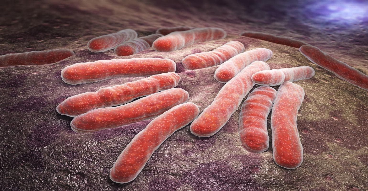 Study Finds Higher Doses of Rifampin May Lead to Faster Elimination of TB Bacteria