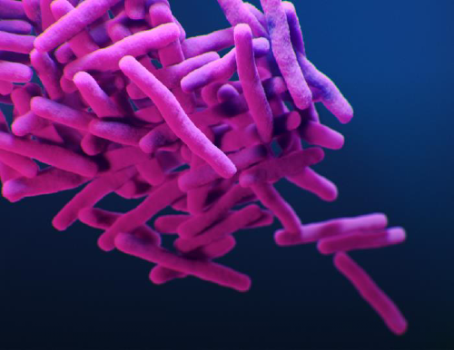 Beware of the World's Most Deadly Infectious Disease: Tuberculosis