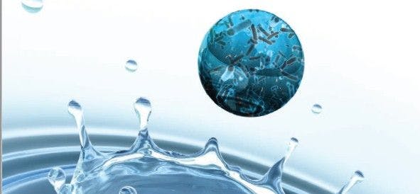 Water: Life’s Vital Necessity Can Also Be a Pool for Pathogens