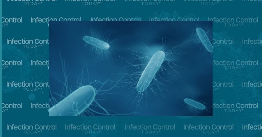 Clostridium difficile bacteria  (Adobe Stock 452783356 by Artur)