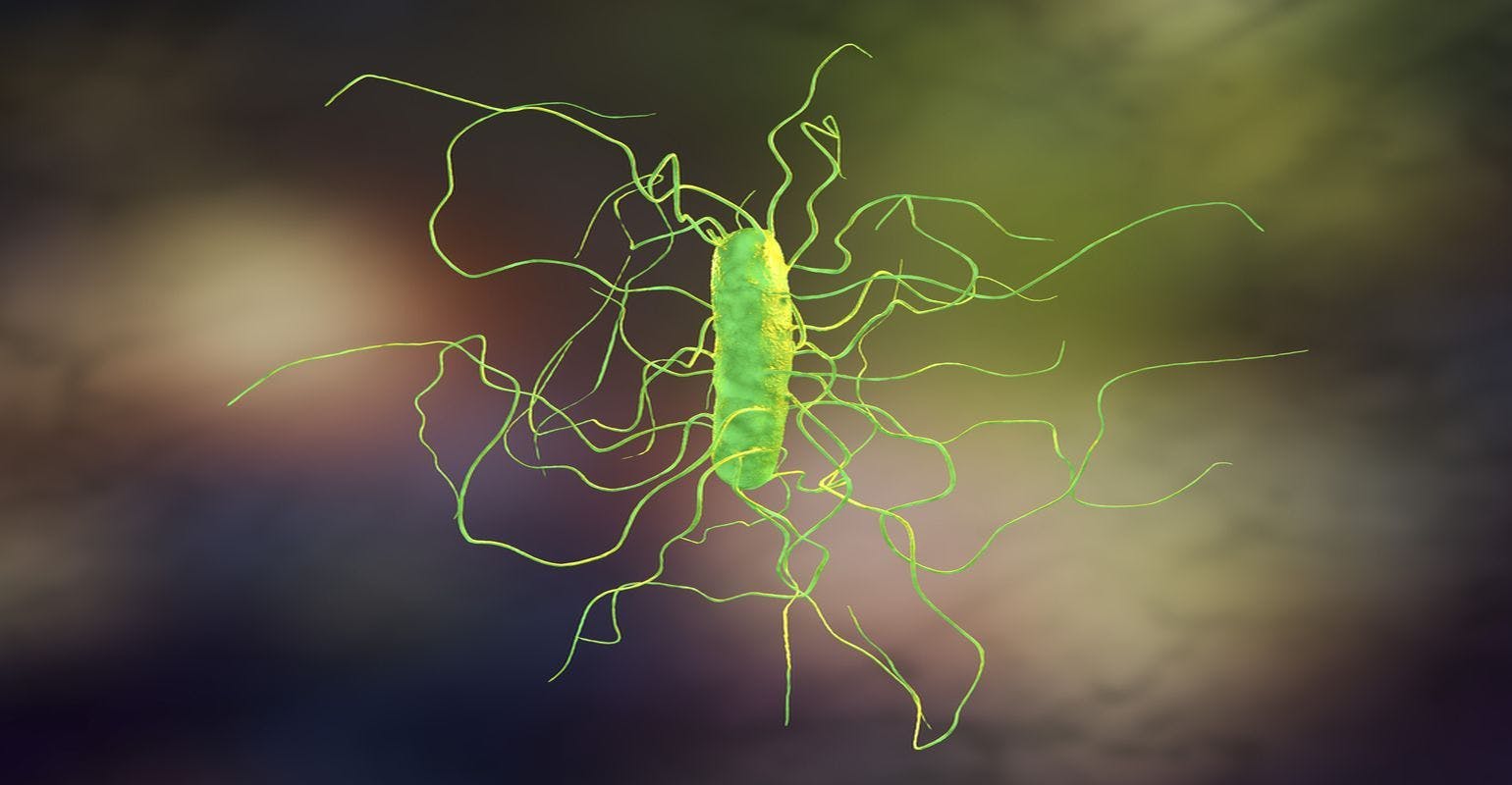 Common Pain Relievers May Promote Clostridium difficile Infections