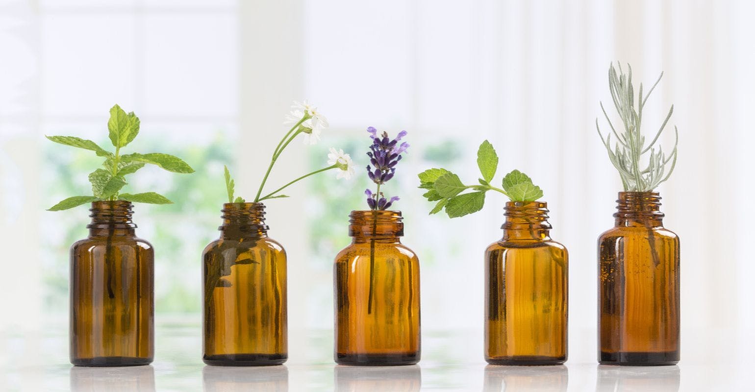 Scientists Investigate the Use of Essential Oils to Fight Bacterial Infections