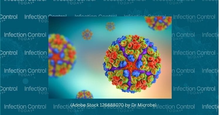 Chikungunya virus, 3D illustration. Emerging mosquito-borne RNA virus from Togaviridae family that can cause outbreaks of a debilitating arthritis-like disease.   (Adobe Stock 126688070 Dr_Microbe)