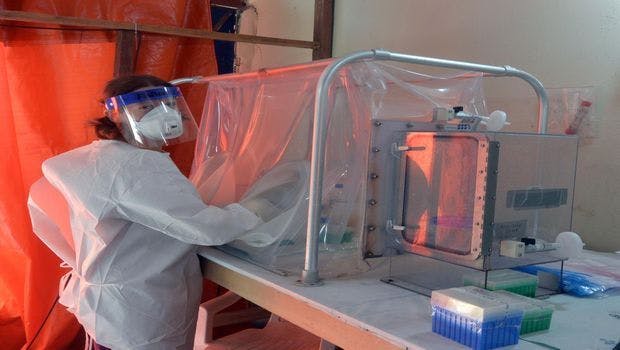 Scientists Explore the Connection Between Ebola Survival and Co-Infection With Malaria Parasites