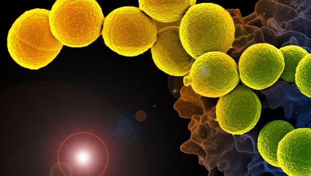 Skin Protein Packs Powerful Antibacterial Punch