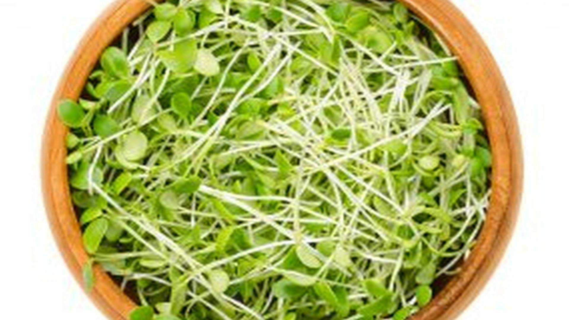 Multistate Outbreak of Salmonella Montevideo Infections Linked to Raw Sprouts