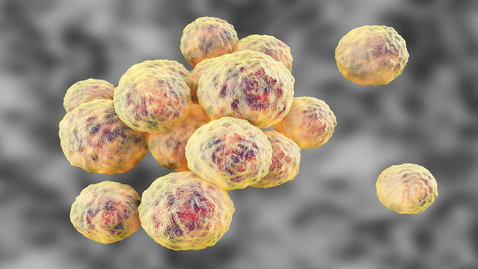 MRSA Survival Chances Predicted by DNA Sequencing the Superbug