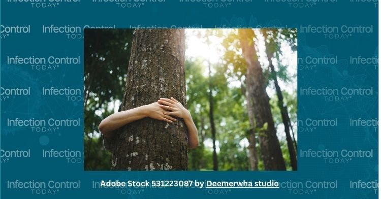 Hugging a tree.    (AdobeStock 531223087 Deemerwha studio)