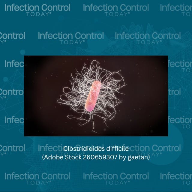 Clostridioides difficile  (Adobe Stock 260659307 by gaetan)