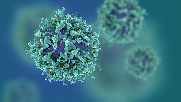 Understanding Activation of T Cells Could Lead to New Vaccines