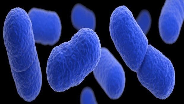 Listeria May be a Serious Miscarriage Threat in Early Pregnancy