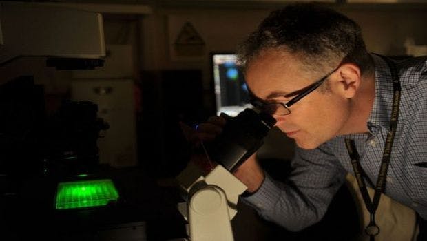 Texas Biomed Part of Research Efforts to Screen and Develop Ebola Virus Drug
