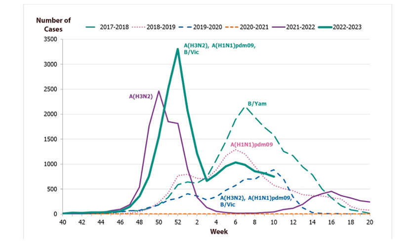 Figure: Number of laboratory-verfied influenza cases (all types) per week, this season and previous seasons. The chart indicates which subtype or line type dominated each season.  Source: Public Health Agency of Sweden