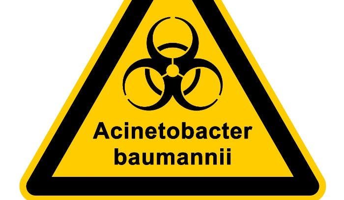 Carbapenem-resistant Acinetobacter baumannii warning sign. 