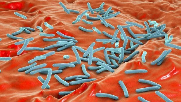 Blocking TB Bacterium's Metabolic 'Escape Pathways' May be Key to Better, Shorter Treatment